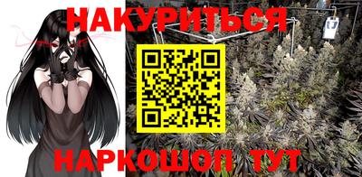 тгк Новодвинск