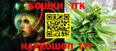 тгк Новодвинск