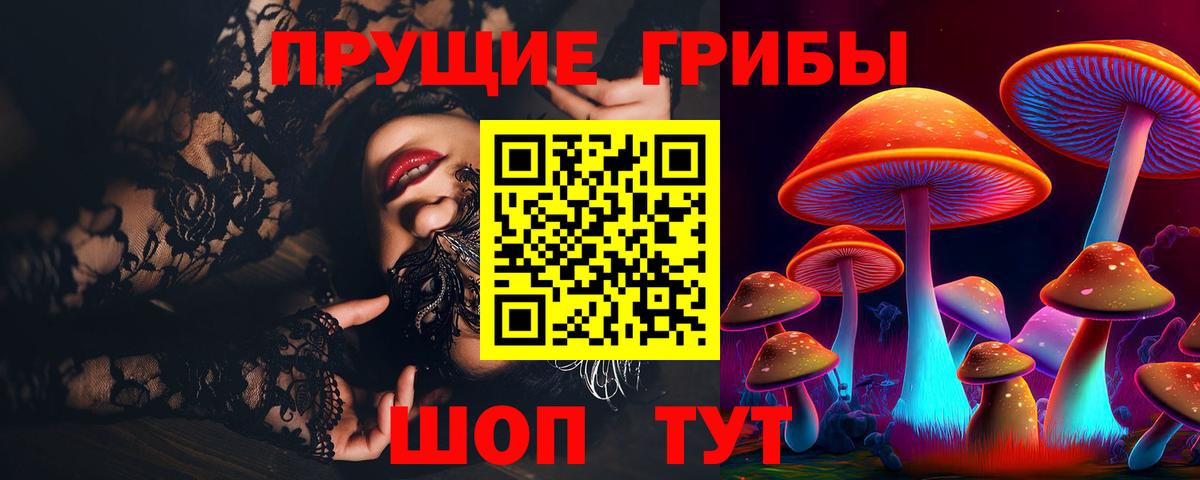 Псилоцибиновые грибы Cubensis  Вход с VPN  Псилоцибиновые грибы прущие грибы  Тимашёвск 