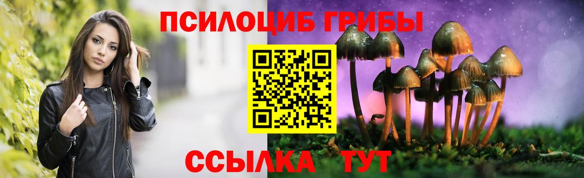 Псилоцибиновые грибы прущие грибы Тимашёвск